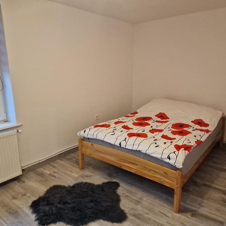 Przestronny Apartament +Silownia ビトム エクステリア 写真