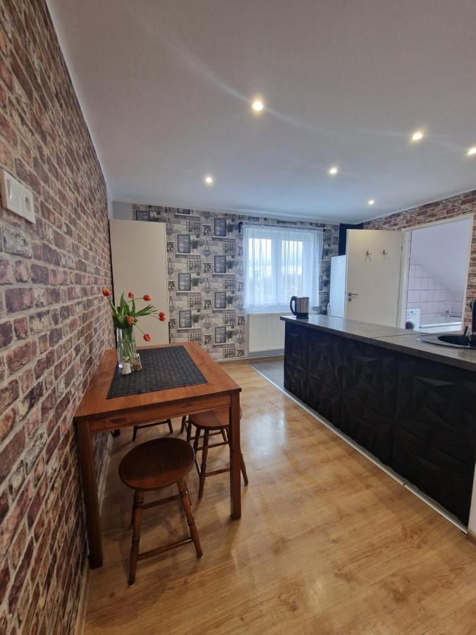 Przestronny Apartament +Silownia ビトム エクステリア 写真