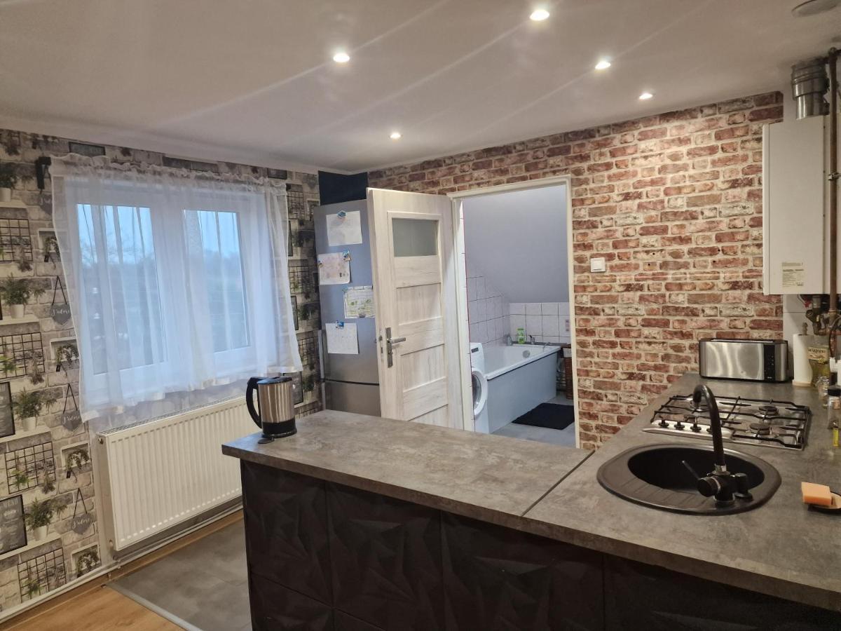 Przestronny Apartament +Silownia ビトム エクステリア 写真